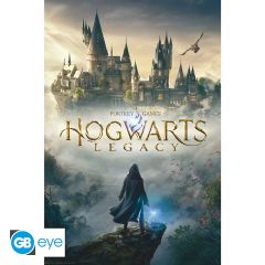 Harry Potter: Hogwarts Legacy Key Art Poster (91.5x61cm) Preorder