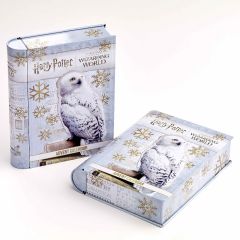 Harry Potter: Gift Tin Advent Calendar Preorder