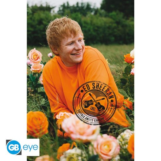 Ed Sheeran: Rose Field Poster (91.5x61cm) Preorder