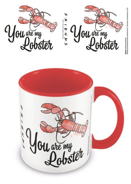 Amis : Tu es ma tasse intérieure colorée de homard