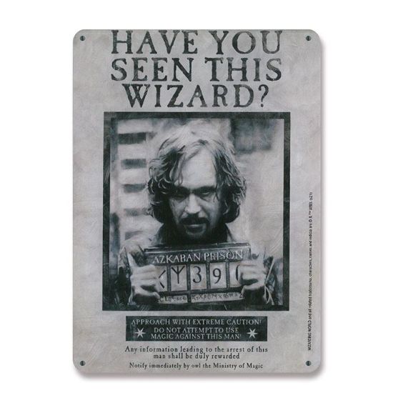 Harry Potter : Avez-vous vu ce panneau en étain de sorcier (15 x 21 cm)
