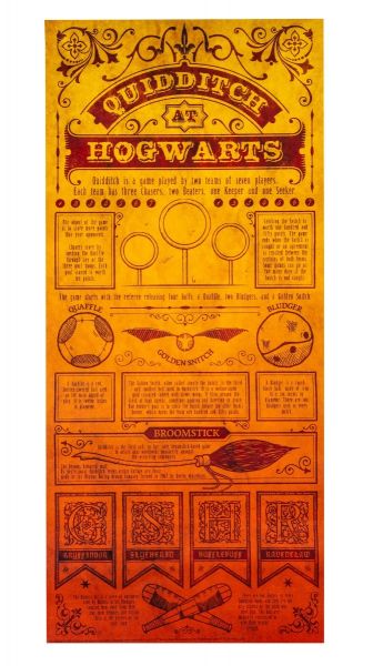 Harry Potter: Quidditch At Hogwarts Limited Edition Art Print