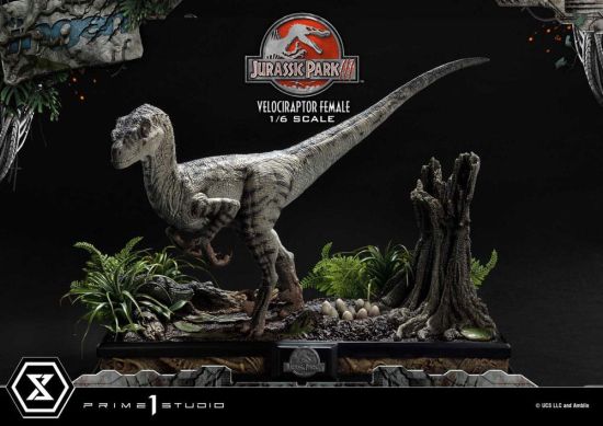 Jurassic Park III: Estatua de la Colección del Museo Legado Femenino Velociraptor 1/6 (44 cm) Reserva