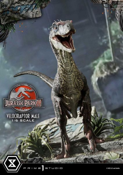 Jurassic Park III: Velociraptor mannelijk 1/6 Legacy Museum Collection-standbeeld (40 cm) Pre-order