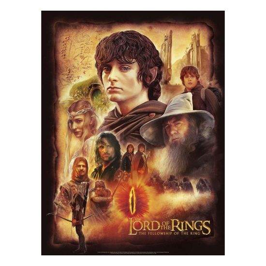 Lord of the Rings: The Fellowship of the Ring Art Print (46cm x 61cm - unframed)