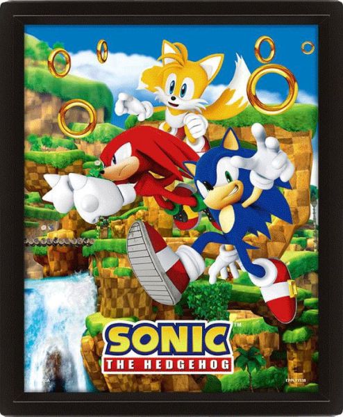 Sonic The Hedgehog: Catching Rings 3D Lenticular Poster (26x20cm) Preorder