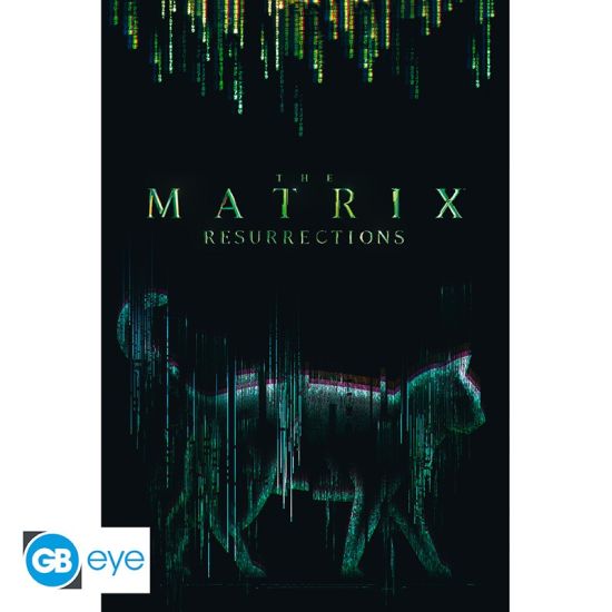 The Matrix: Cat Poster (91.5x61cm) Preorder