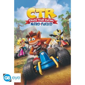 Crash Team Racing: Póster de portada (91.5 x 61 cm) Reserva
