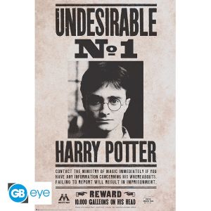 Harry Potter : Indésirable n°1 Affiche (91.5x61cm) Précommande