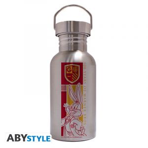Looney Tunes: Harry Potter Mash Up 500ml Canteen Stainless Steel Bottle