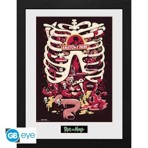 Rick y Morty: Impresión enmarcada "Anatomy Park" (30x40cm) Reserva