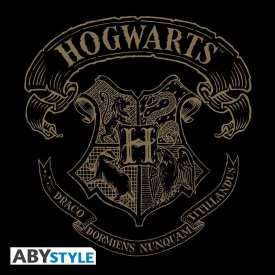 Harry Potter Mug Logo Hogwarts Legacy - Achat Goodies